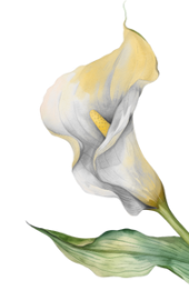 Inserir um título (600 x 700 px) (1)